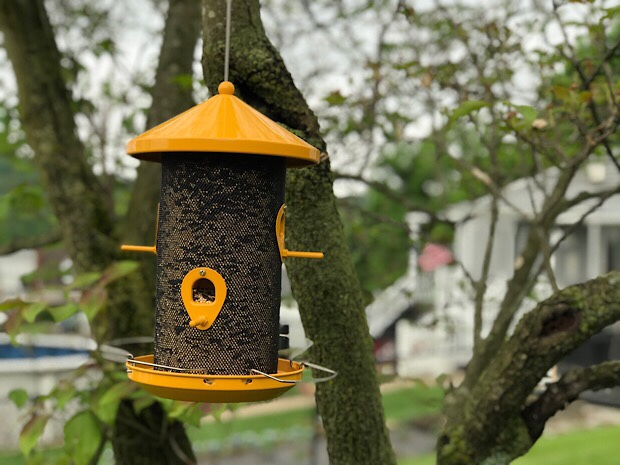 Yellow bird feeder for finches and songbirds 