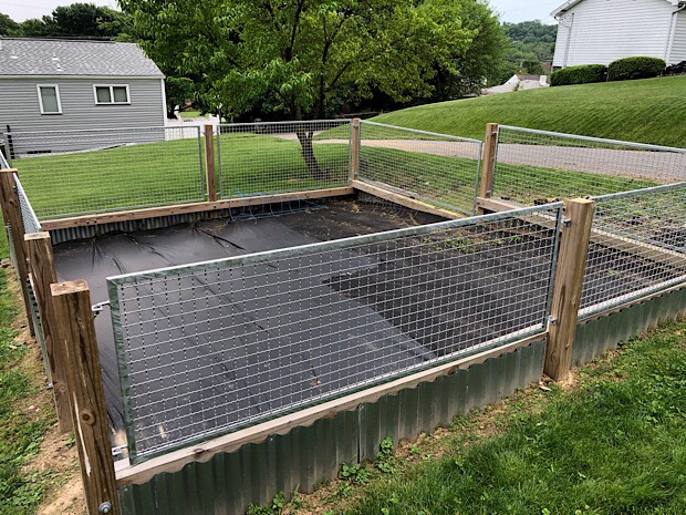 Vegetable garden with wood and steel fence