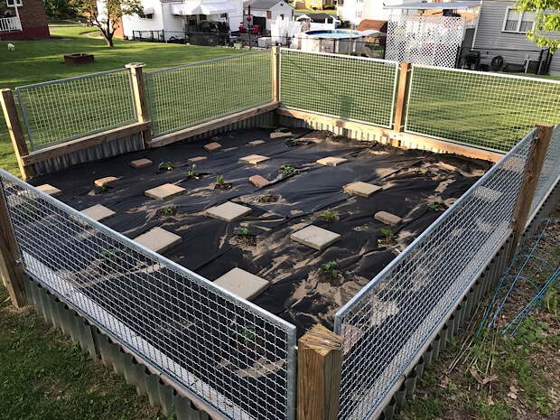 Vegetable garden with steel and wood fence