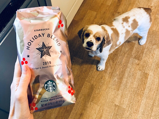 Starbucks Holiday Blend 2019 and cocker spaniel dog