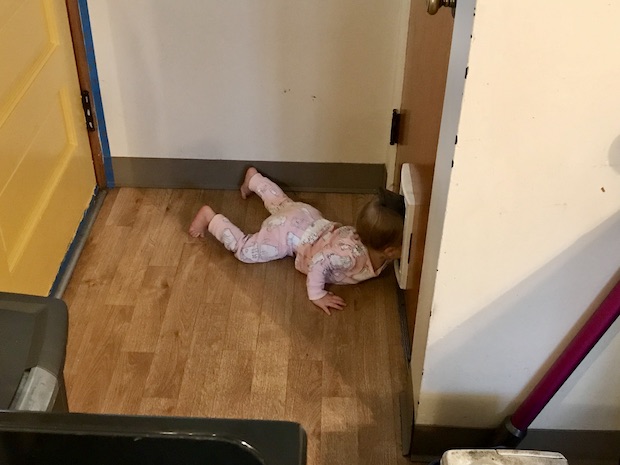 Toddler in cat door