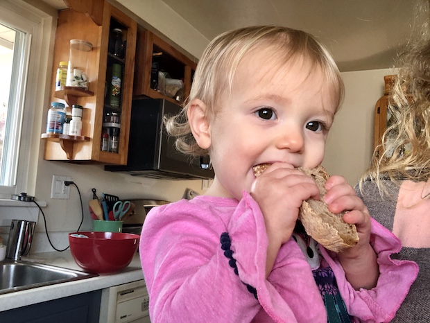 Toddler eating sourdough bread