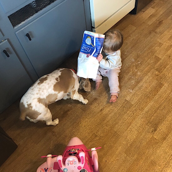 Baby and dog 
