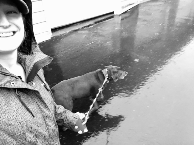 Girl walking chocolate lab in rain