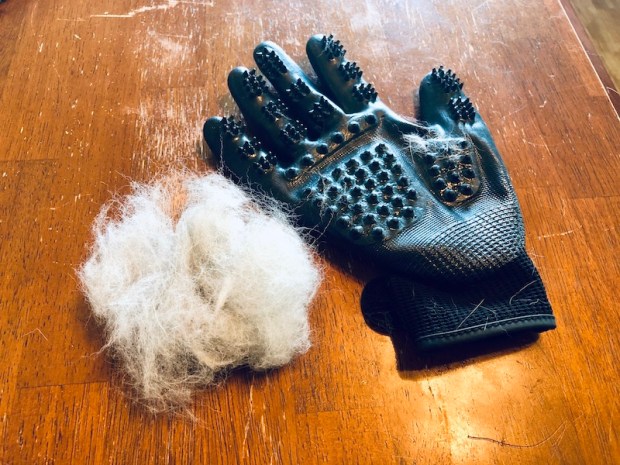 Dog shedding gloves product