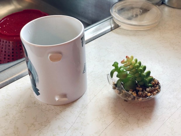 Broken coffee mug and glass succulent holder