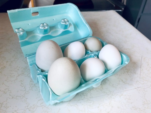 Duck eggs and chicken eggs