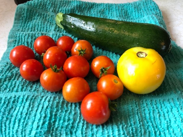Yellow and cherry tomatoes and zucchini from vegetable garden