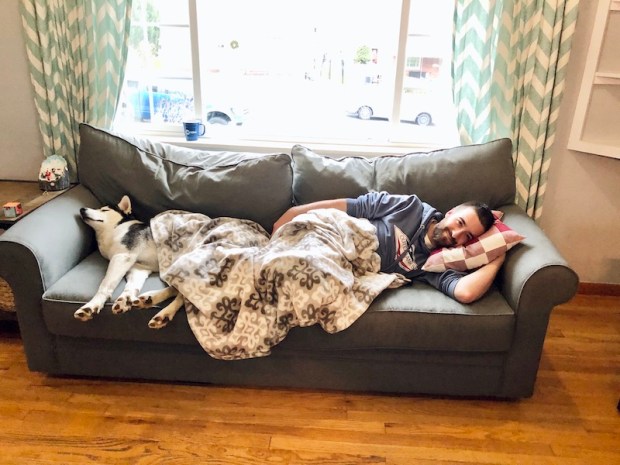 Husky sleeping on couch with blanket