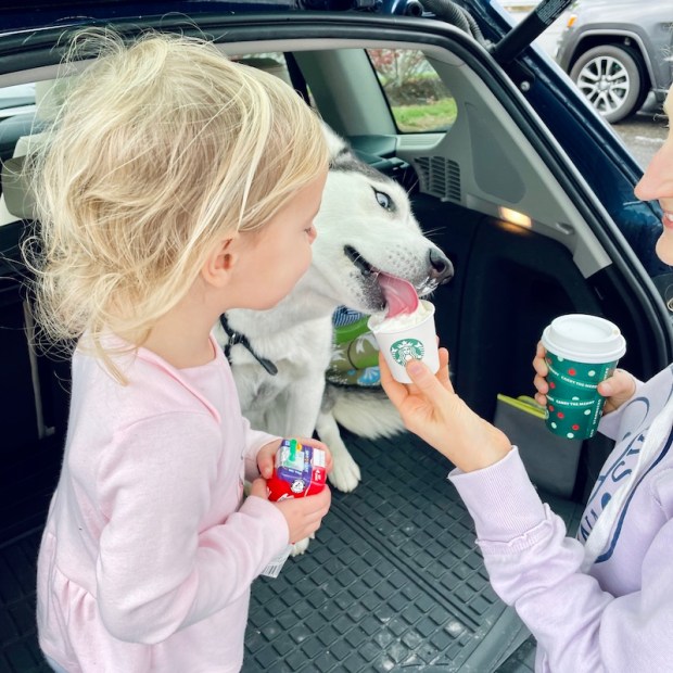 Husky having Starbucks