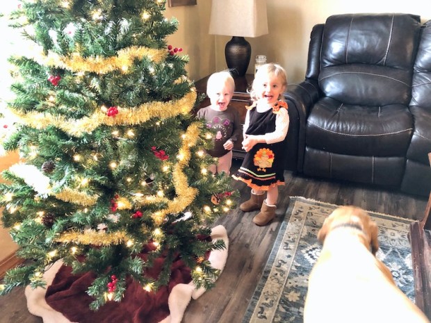 Toddlers playing with Christmas tree