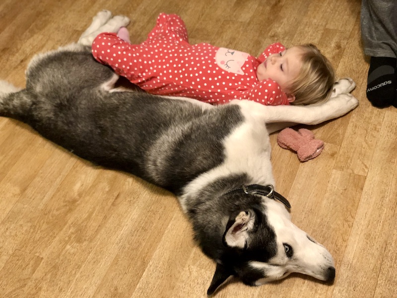 Baby and husky laying together