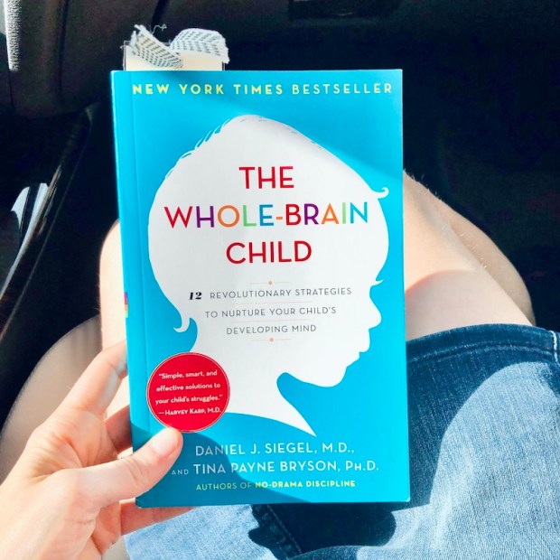 The Whole Brain Child book
