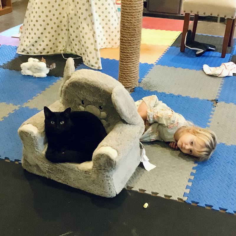 Black cat sitting in kid's chair