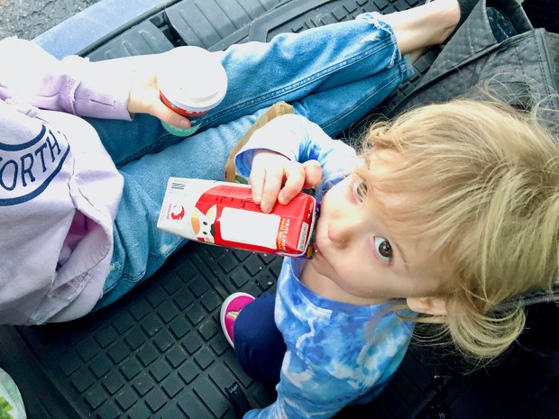 Toddler sitting in back of car with milk