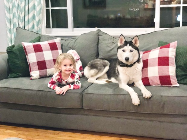 Husky and toddler laying on couch together