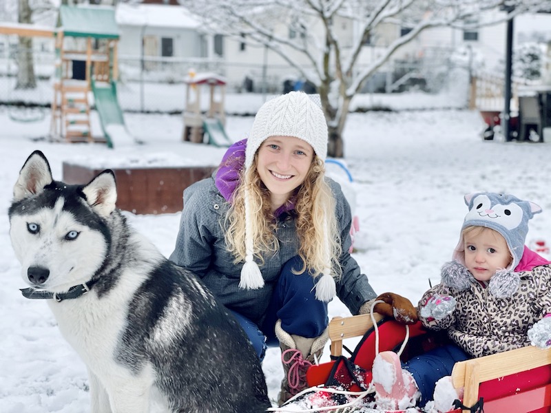 Husky with sled and people