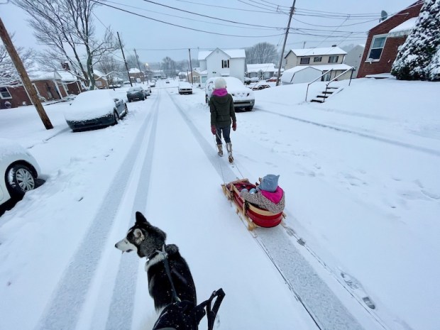 Girl pulling child in sled with husky