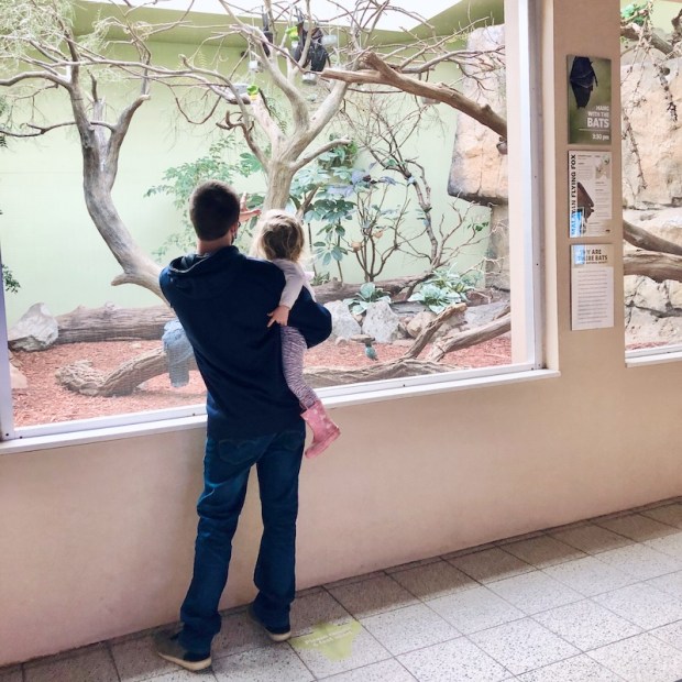 Dad holding toddler at the National Aviary in Pittsburgh