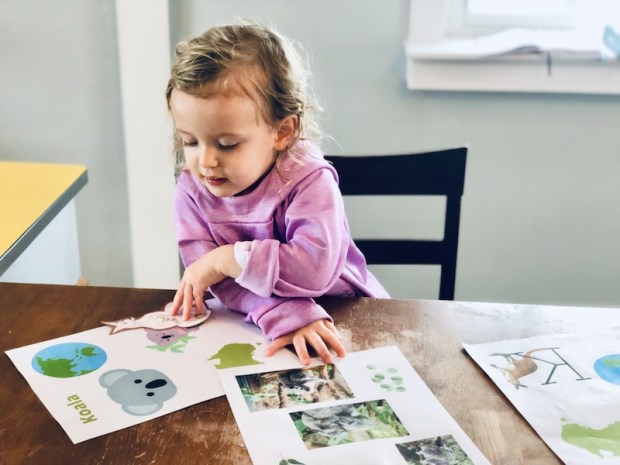 Homeschooling a toddler