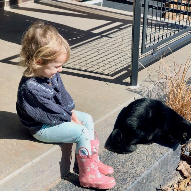 Toddler and cat sitting outside
