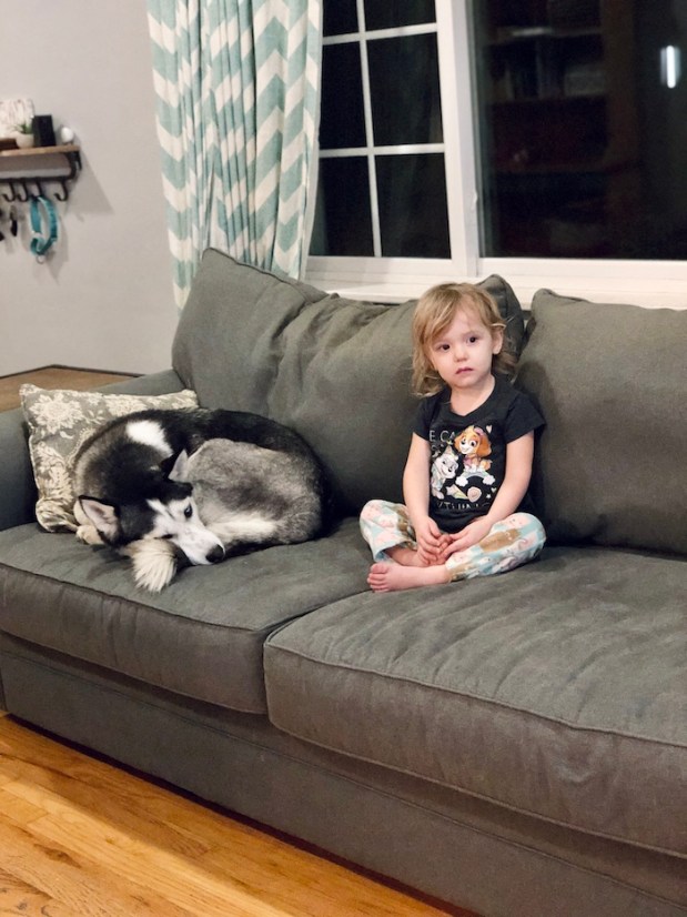 Husky laying on couch with toddler