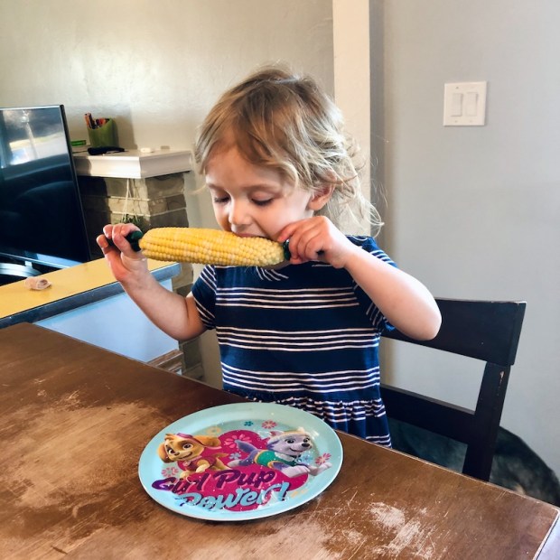 Toddler eating corn on the cob