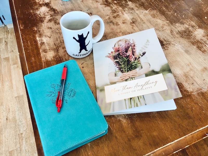 Daily Grace Co. Bible study More Than Anything