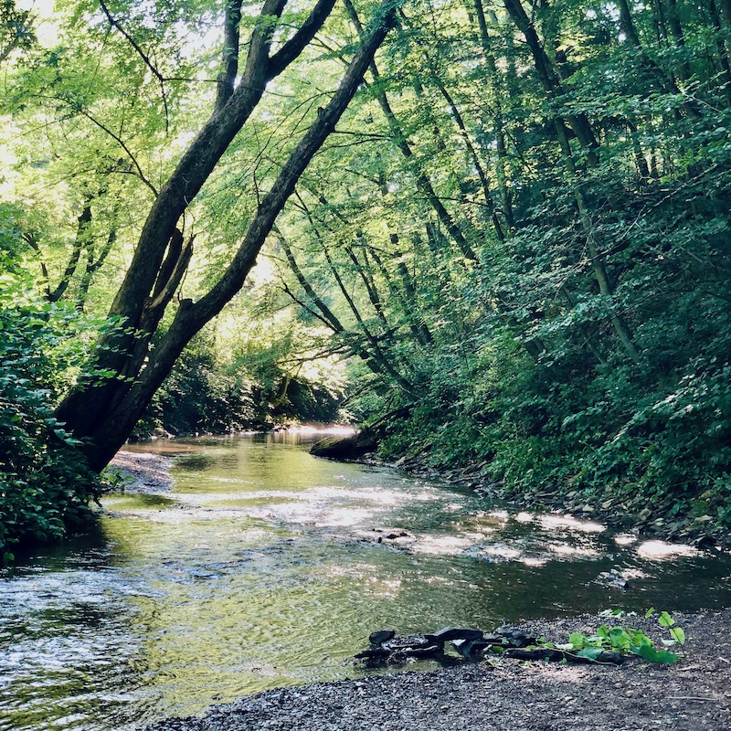 Robinson Run creek at Panhandle Trail in Pittsburgh, PA