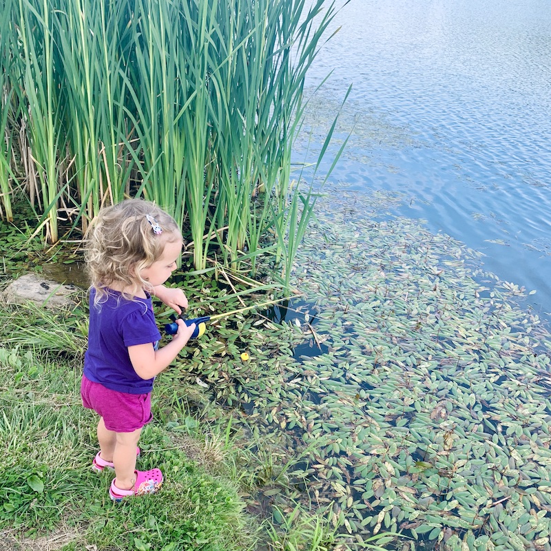 Toddler fishing