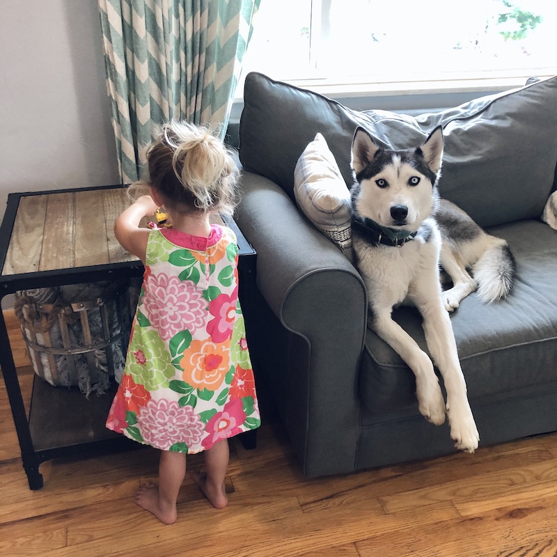 Toddler and husky together on couch