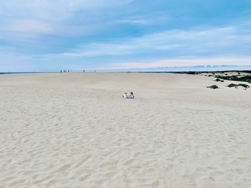 Toddler girls sitting in sad at beach together.