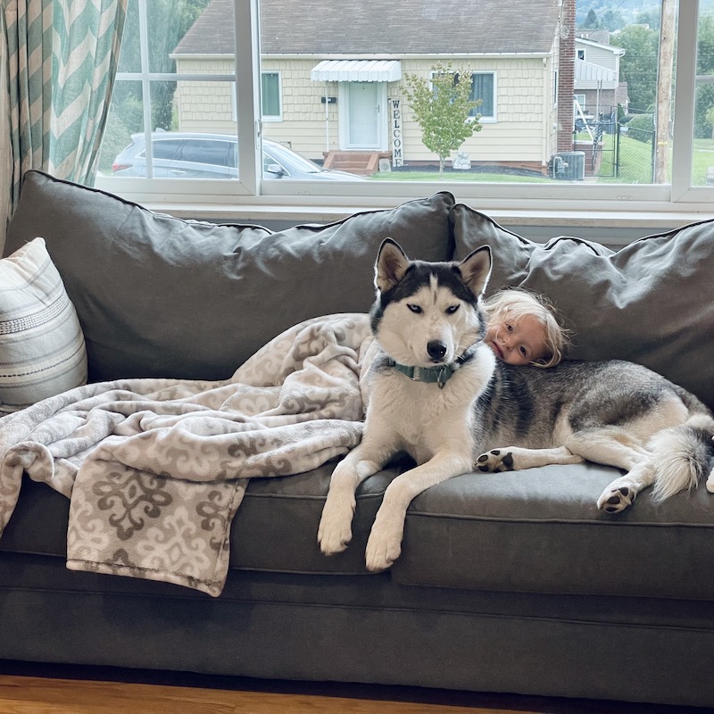 Husky and kid snuggling on couch