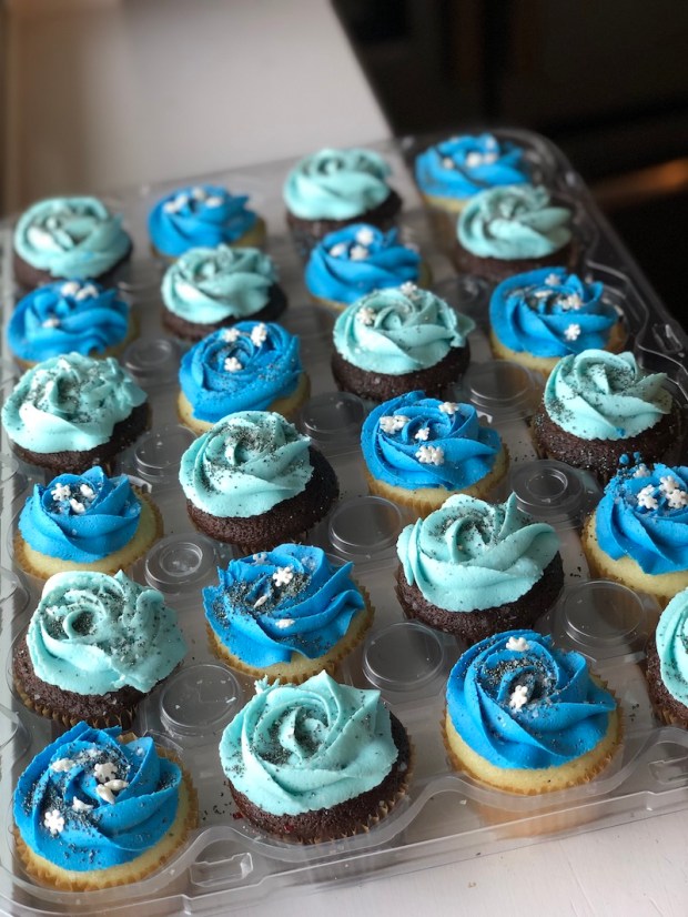 Chocolate and vanilla cupcakes filled with raspberry filling and topped with light blue and dark blue buttercream and silver and white sprinkles