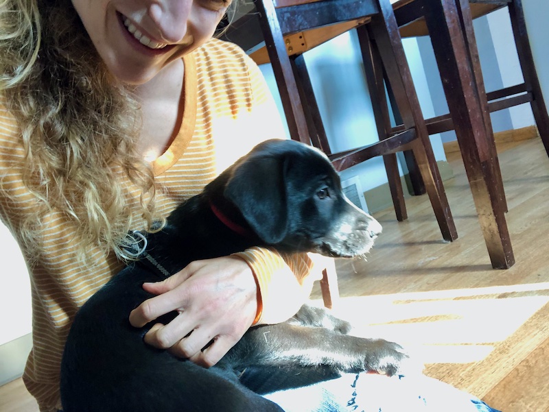 Girl sitting on floor holding black lab mix puppy