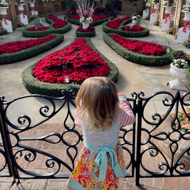 Toddler girl looking at holiday flower show display at Phipps Conservatory in Pittsburgh, PA