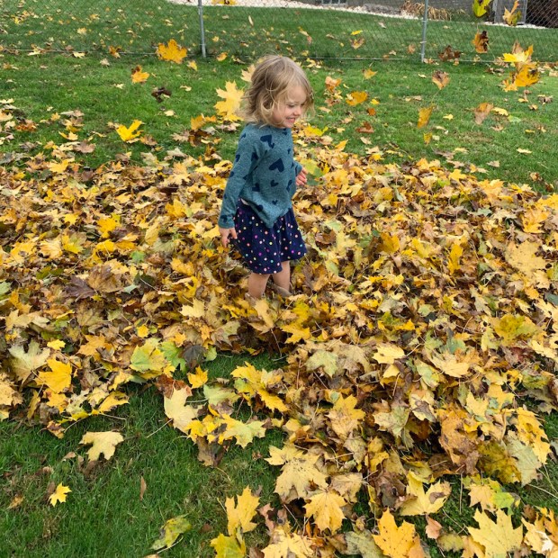 Toddler girl playing in leaves