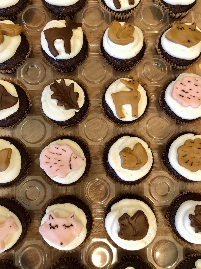 Chocolate cupcakes with vanilla buttercream and woodland decorations made out of fondant
