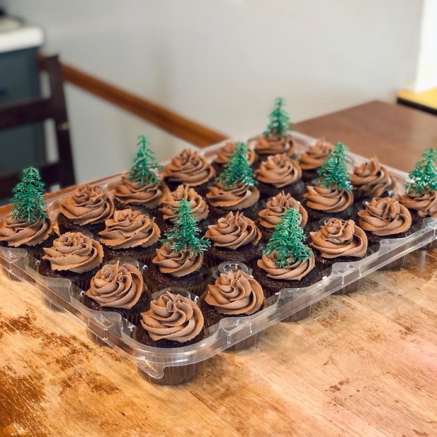 Boy Scout Tree Cupcakes