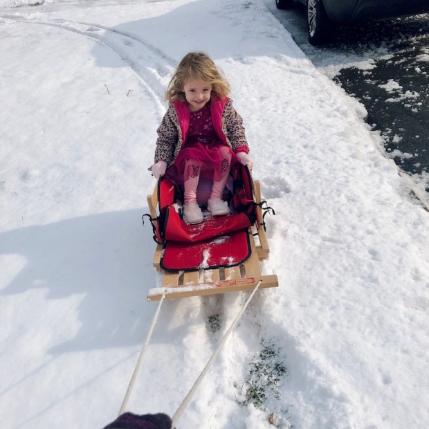 Toddler girl on sled in snow