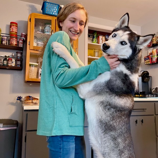 Siberian husky standing up hugging girl