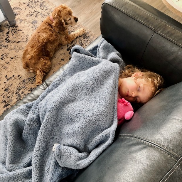 Toddler napping on the couch
