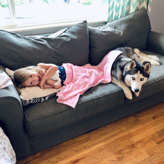 Girl and husky sitting on couch together