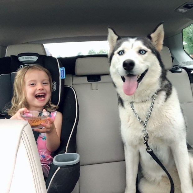 Girl and husky sitting together in the car