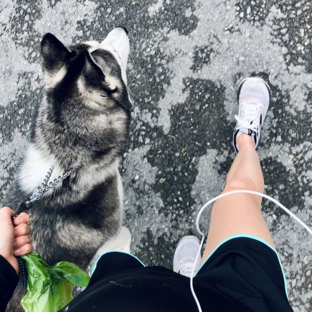 Girl walking Siberian husky on road