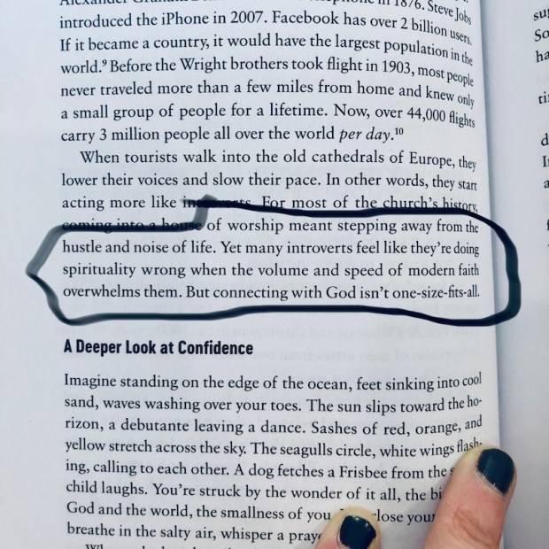 Quote on introversion from The Powerful Purpose of Introverts by Holley Gerth