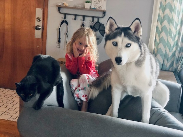 Young girl sitting with black cat and Siberian husky