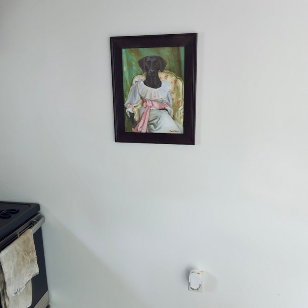 Black lab portrait from Etsy