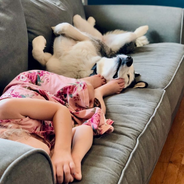 Girl and husky napping on couch together