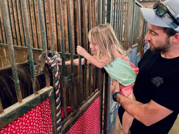 Girl petting a horse at the Washington County Fair in Washington County, PA